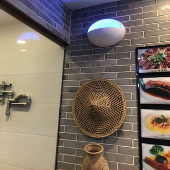 Zidna lipljiva lampa za komarce za restorane i hotele, UV svjetlosna zamka, pokriće 61 m²+, ABS kućište, 1 godina jamstva