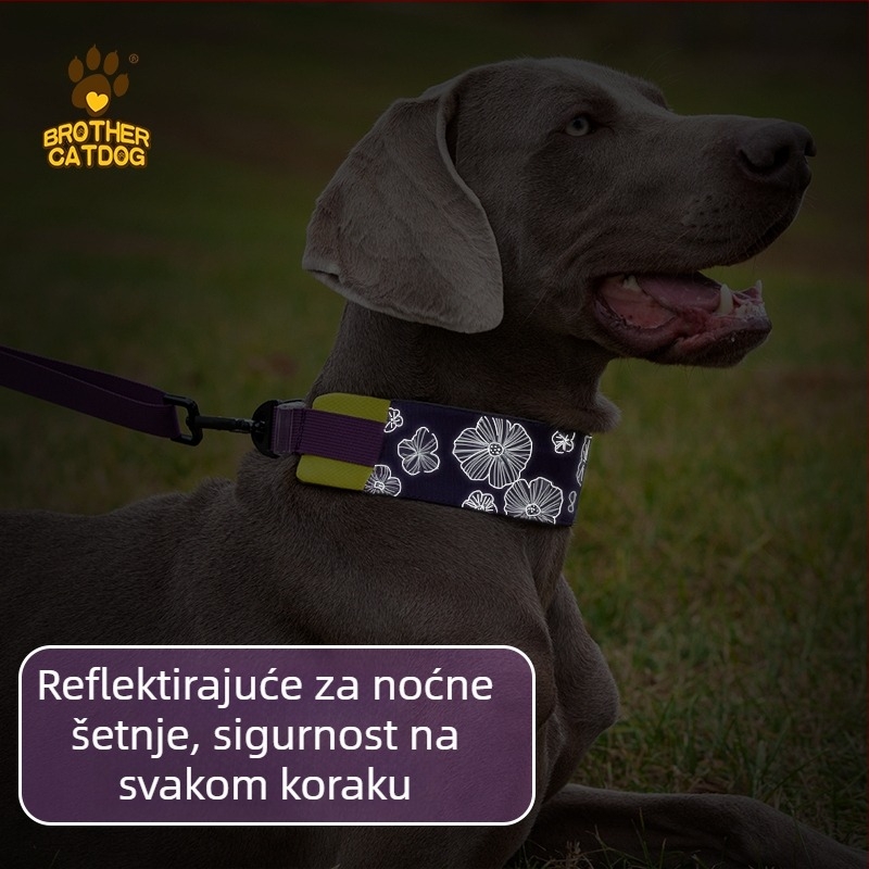 Osvijetljivi ovratnik za pse od Mohaira, opće namjene, s vučnom užadi