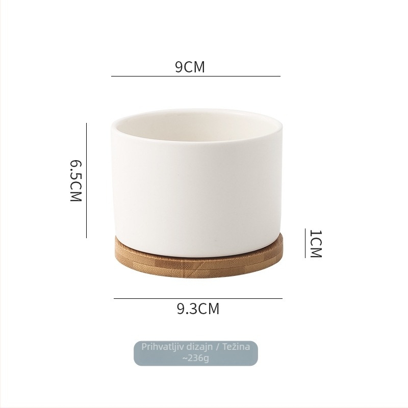 Minimalistička keramička posuda za sukulente, stolna posuda, jednostavan stil za kućni dekor