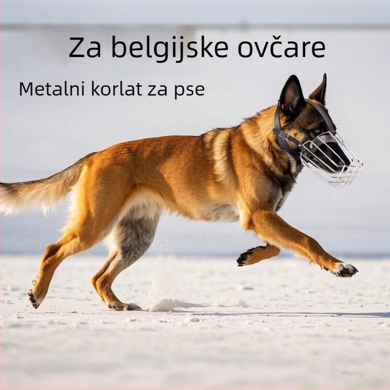 Nabuh za Malinois i njemačkog ovčara - metalni, otporni na ugrize, zaštitni dizajn
