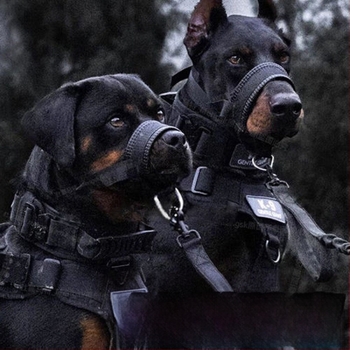 Muzzle za pse s pristupom vodi, protiv ugriza i protiv jedenja