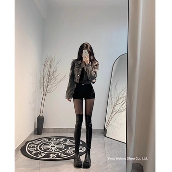 Čizme viteza iznad koljena, visok goljenac, debeli pet, srednji pet 3–5 cm, gornji dio od Super Fiber, bočni zatvarač