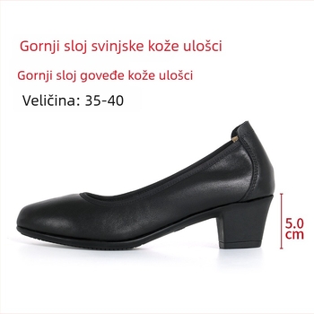 Ženske salonke na petu s okruglim nosom, kožni gornji dio, srednje visoke pete 3–6 cm, gumeni potplat, uredski stil