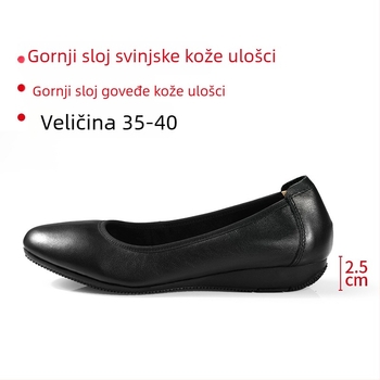 Ženske salonke na petu s okruglim nosom, kožni gornji dio, srednje visoke pete 3–6 cm, gumeni potplat, uredski stil