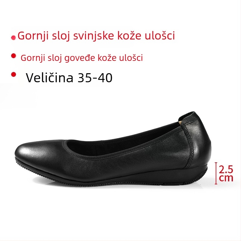 Ženske salonke na petu s okruglim nosom, kožni gornji dio, srednje visoke pete 3–6 cm, gumeni potplat, uredski stil