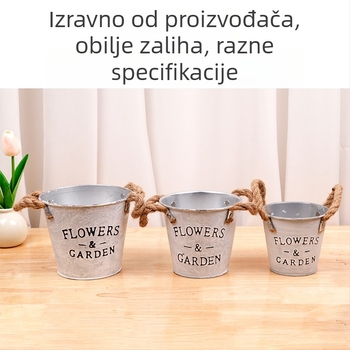 Dekorativna vaza od željeznog umjetničkog djela, stolna upotreba, jednostavan stil za sukulente