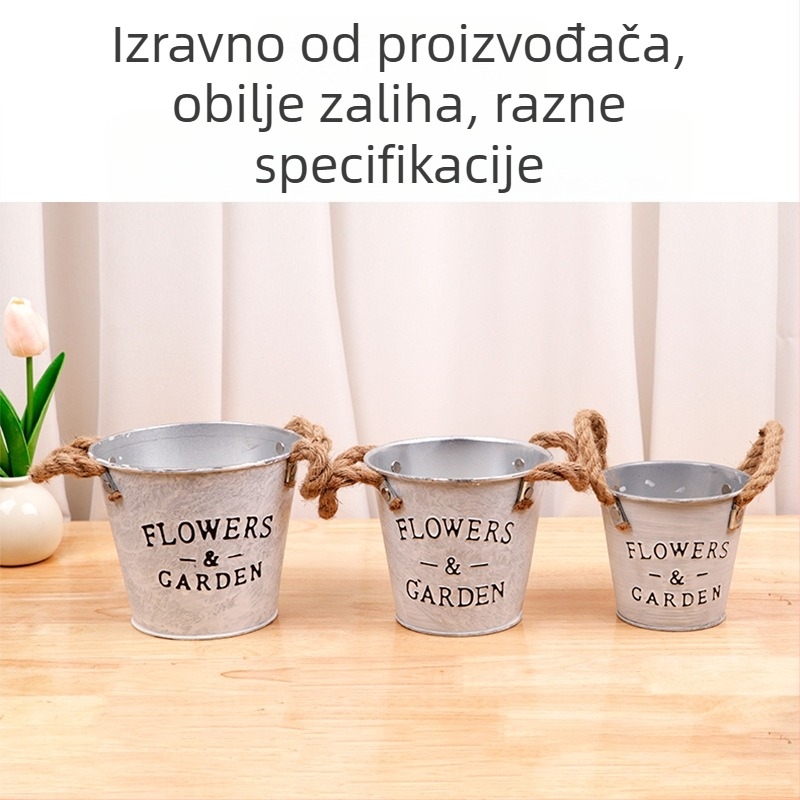 Dekorativna vaza od željeznog umjetničkog djela, stolna upotreba, jednostavan stil za sukulente