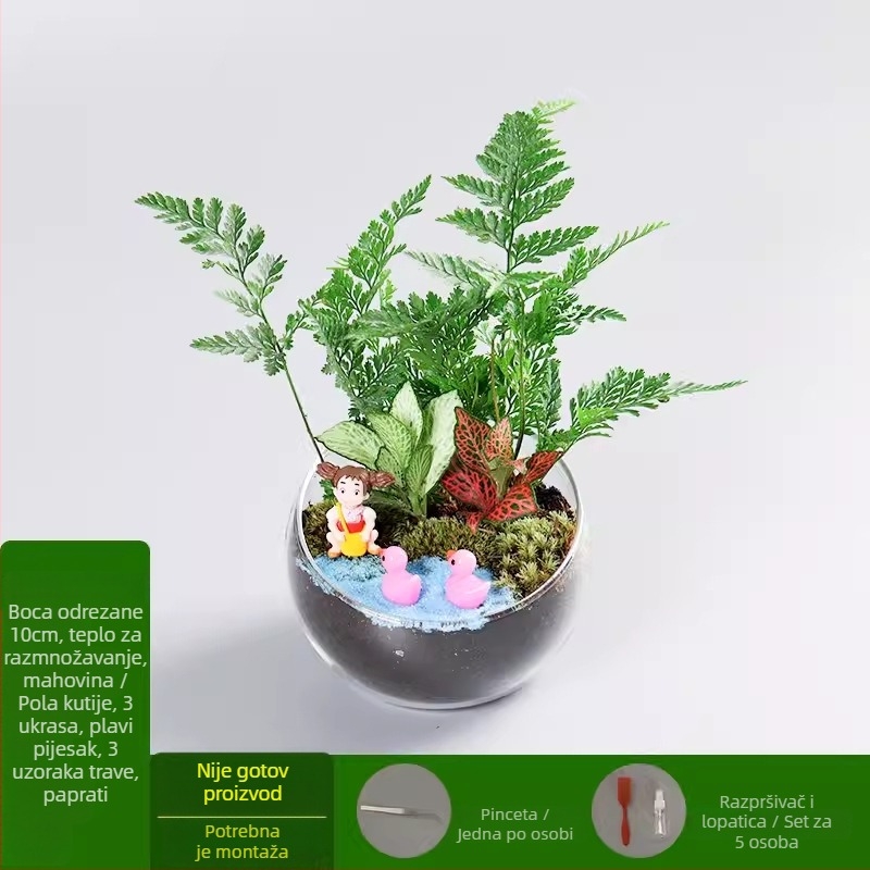 DIY set za mikropejzaž s mahom i sukulentima u staklenu kuglu od borosilikatnog stakla, Xuanyi brand, kartonsko pakiranje, za postavljanje na stol