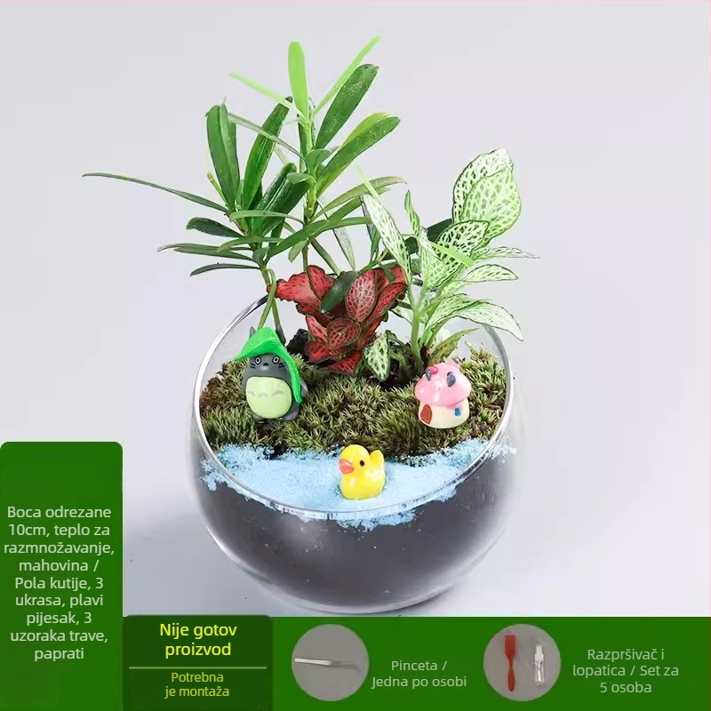 DIY set za mikropejzaž s mahom i sukulentima u staklenu kuglu od borosilikatnog stakla, Xuanyi brand, kartonsko pakiranje, za postavljanje na stol