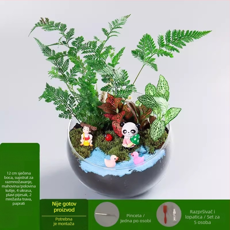 DIY set za mikropejzaž s mahom i sukulentima u staklenu kuglu od borosilikatnog stakla, Xuanyi brand, kartonsko pakiranje, za postavljanje na stol