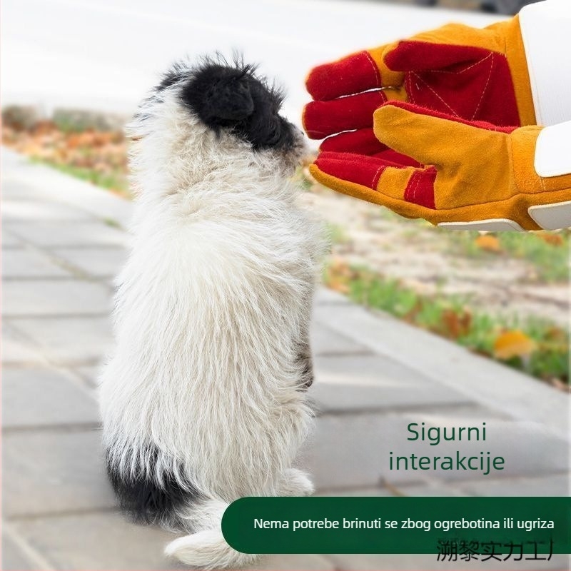 Rukavice za dresuru pasa — Debela koža, otporne na kidanje, štite od ogrebotina i ugriza, pogodne za mačke, pse i hamster
