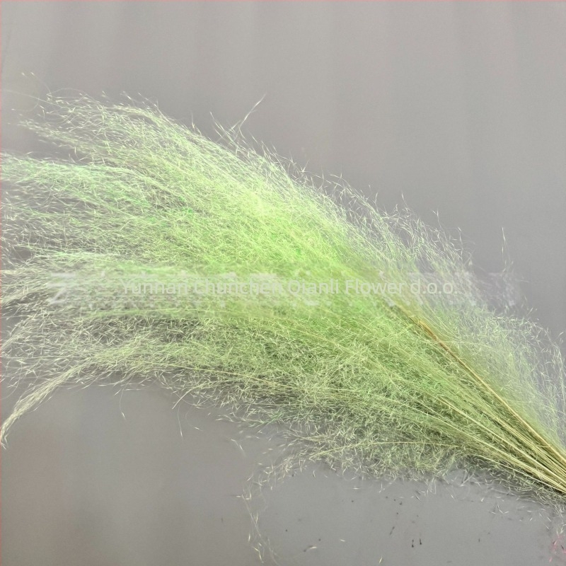 Buket suhih cvjetova, Pink dai sorta, Chen chen qianli flowers (Brend: Chen chen qianli flowers; Materijal: Suho cvijeće; Sorta: Pink dai; Poklon: Ne)