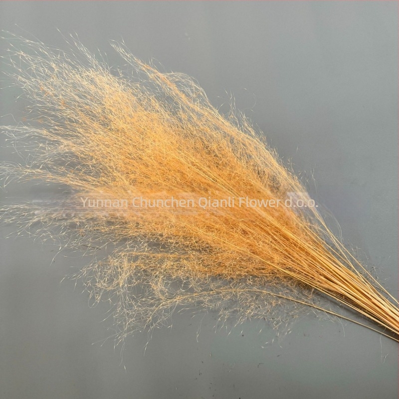 Buket suhih cvjetova, Pink dai sorta, Chen chen qianli flowers (Brend: Chen chen qianli flowers; Materijal: Suho cvijeće; Sorta: Pink dai; Poklon: Ne)