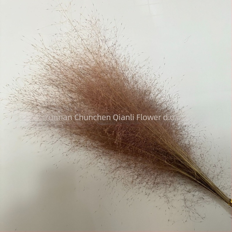 Buket suhih cvjetova, Pink dai sorta, Chen chen qianli flowers (Brend: Chen chen qianli flowers; Materijal: Suho cvijeće; Sorta: Pink dai; Poklon: Ne)