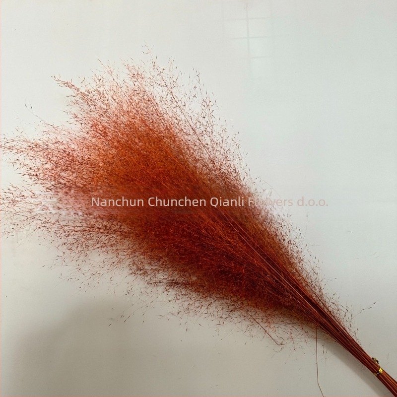 Buket suhih cvjetova, Pink dai sorta, Chen chen qianli flowers (Brend: Chen chen qianli flowers; Materijal: Suho cvijeće; Sorta: Pink dai; Poklon: Ne)