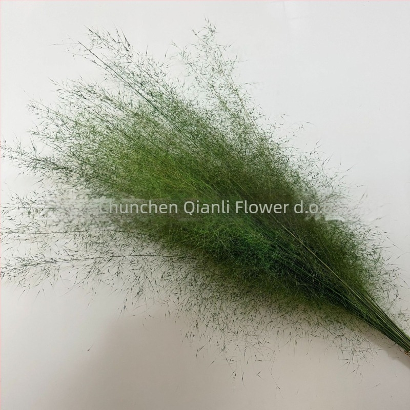 Buket suhih cvjetova, Pink dai sorta, Chen chen qianli flowers (Brend: Chen chen qianli flowers; Materijal: Suho cvijeće; Sorta: Pink dai; Poklon: Ne)