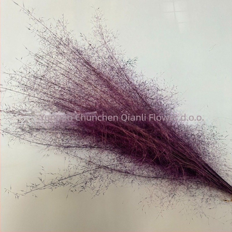 Buket suhih cvjetova, Pink dai sorta, Chen chen qianli flowers (Brend: Chen chen qianli flowers; Materijal: Suho cvijeće; Sorta: Pink dai; Poklon: Ne)