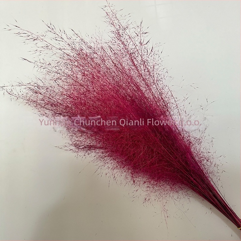 Buket suhih cvjetova, Pink dai sorta, Chen chen qianli flowers (Brend: Chen chen qianli flowers; Materijal: Suho cvijeće; Sorta: Pink dai; Poklon: Ne)