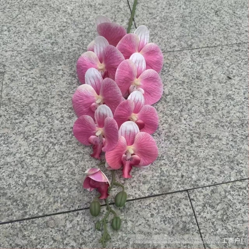 9-glava Phalaenopsis orhideja, 3D ispis s reljefom, plast i svileno cvijeće za svadbenu dekoraciju, rekviziti za fotografiranje i kućnu dekoraciju