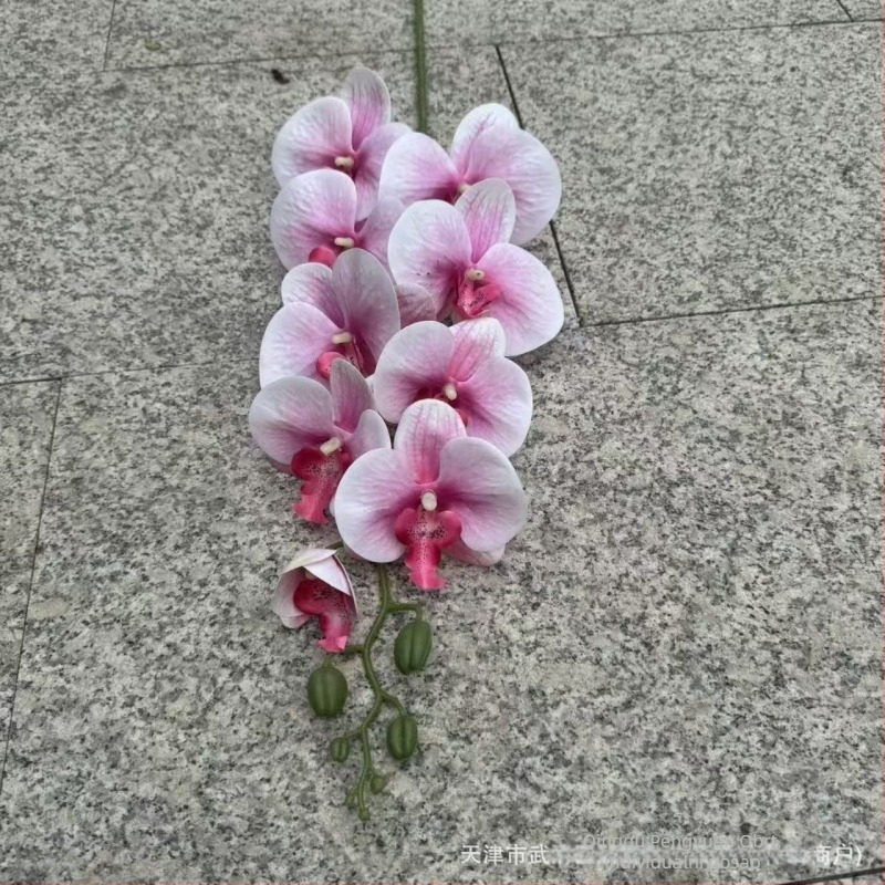 9-glava Phalaenopsis orhideja, 3D ispis s reljefom, plast i svileno cvijeće za svadbenu dekoraciju, rekviziti za fotografiranje i kućnu dekoraciju