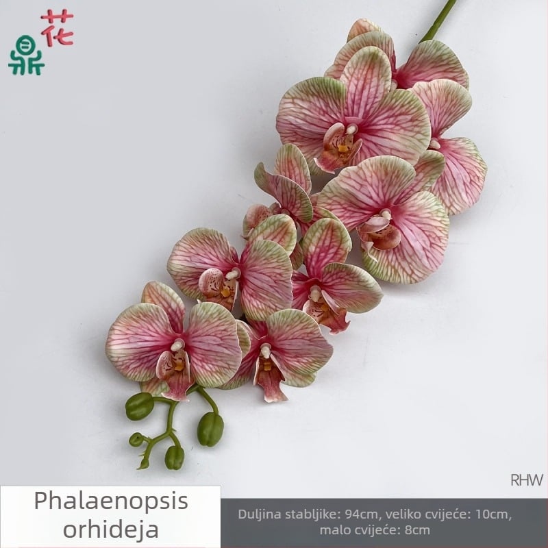 Phalaenopsis svila orhideja, 9 cvjetova, 3D, rekvizit za svadbeni studio