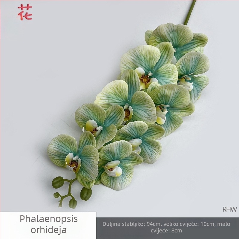 Phalaenopsis svila orhideja, 9 cvjetova, 3D, rekvizit za svadbeni studio