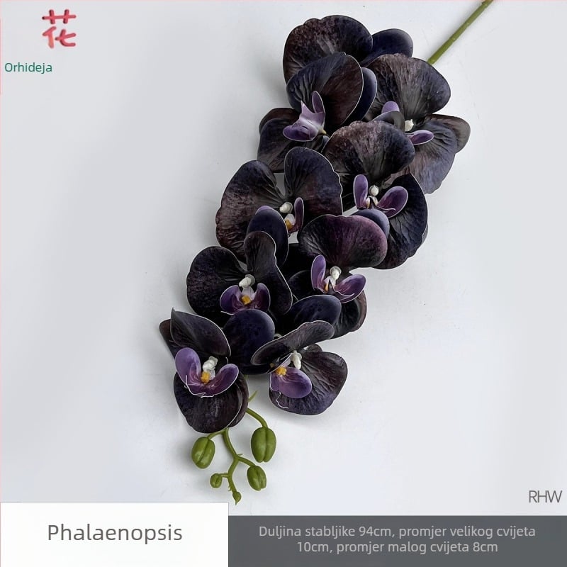 Phalaenopsis svila orhideja, 9 cvjetova, 3D, rekvizit za svadbeni studio
