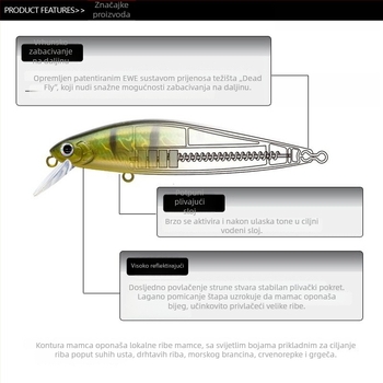 Nástraha za duga bacanja: potopni minnow sa srebrnom oštricom; minnow sa srebrnom oštricom i Dead Fly sustav