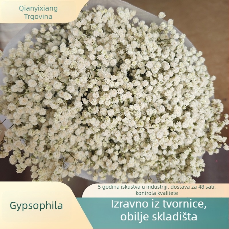 Buket suhih cvjetova Starry Sky, sačuvani cvjetovi, 400–500 g