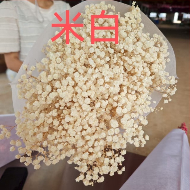 Buket suhih cvjetova Starry Sky, sačuvani cvjetovi, 400–500 g