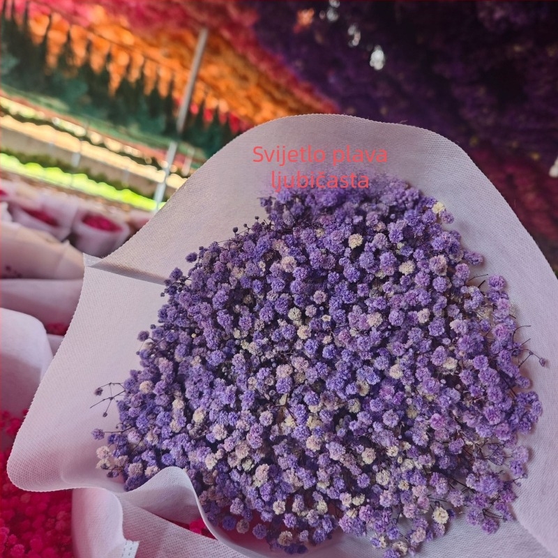 Buket suhih cvjetova Starry Sky, sačuvani cvjetovi, 400–500 g