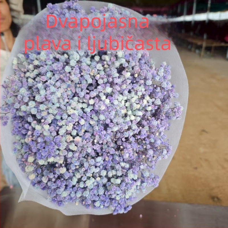 Buket suhih cvjetova Starry Sky, sačuvani cvjetovi, 400–500 g