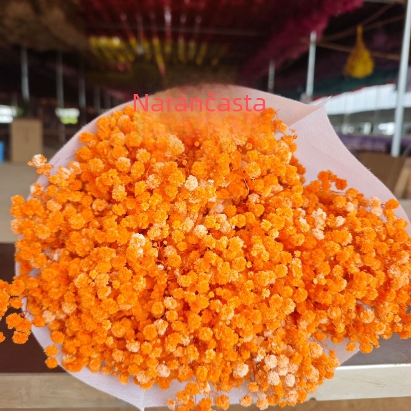 Buket suhih cvjetova Starry Sky, sačuvani cvjetovi, 400–500 g