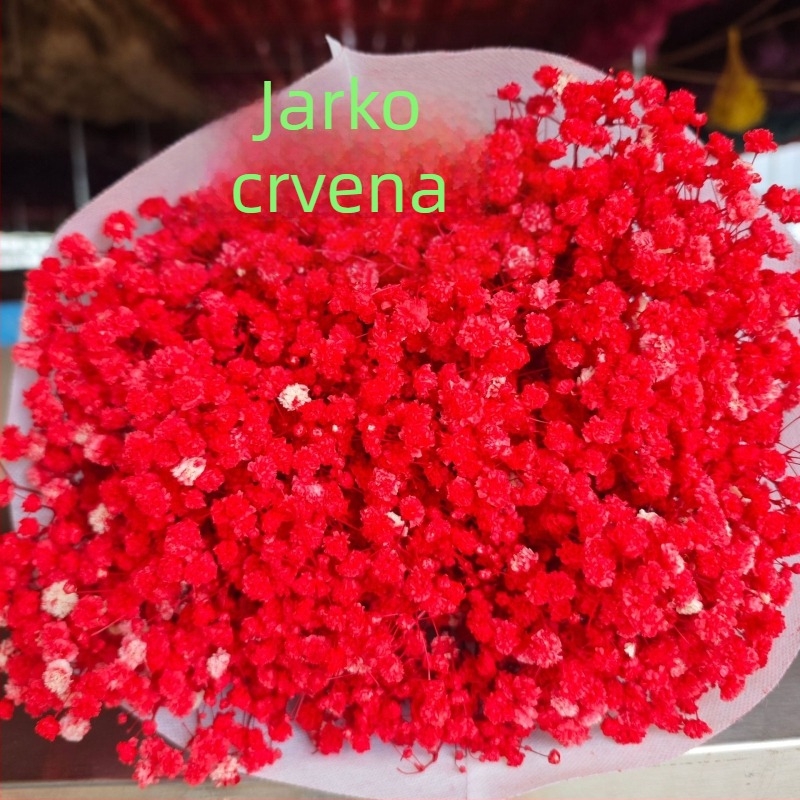 Buket suhih cvjetova Starry Sky, sačuvani cvjetovi, 400–500 g