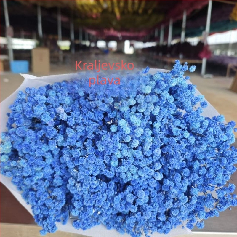 Buket suhih cvjetova Starry Sky, sačuvani cvjetovi, 400–500 g