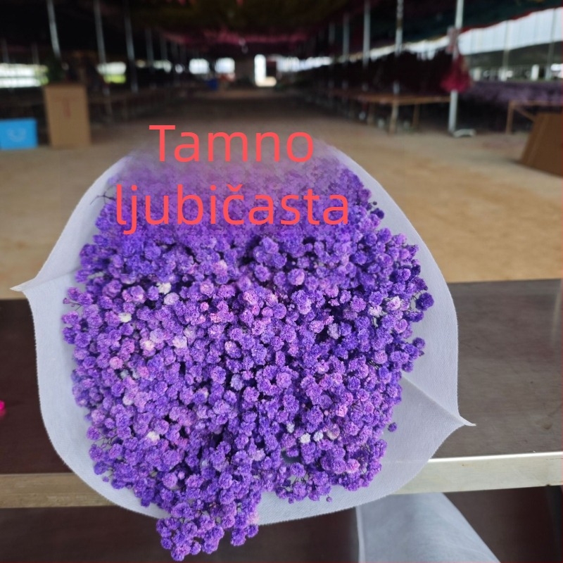 Buket suhih cvjetova Starry Sky, sačuvani cvjetovi, 400–500 g