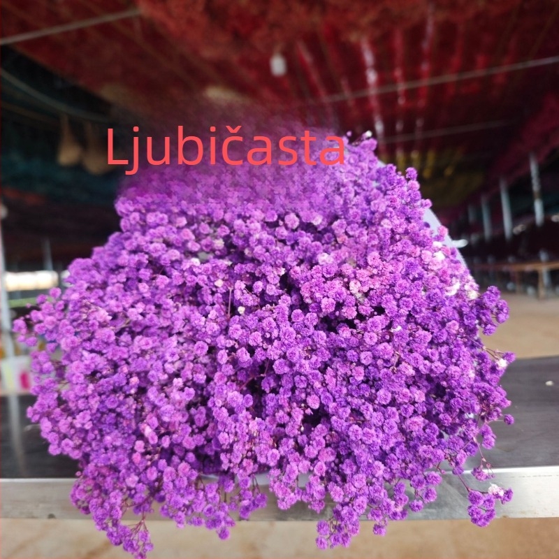 Buket suhih cvjetova Starry Sky, sačuvani cvjetovi, 400–500 g