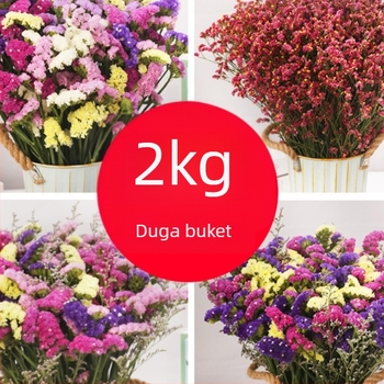 Sušeni buket svilenih cvjetova za dnevni boravak (Materijal: svila; Vrsta: Narcis; Marka: Source Factory)