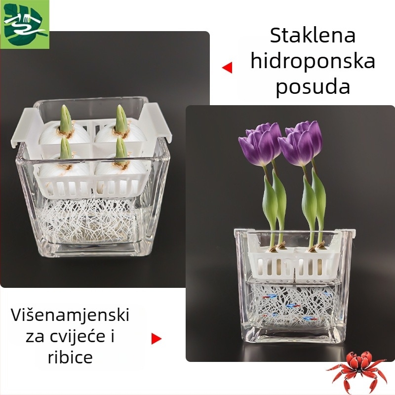 Hidroponijski stakleni spremnik za kućnu vrtlarstvo — za stolnu ili podnu uporabu