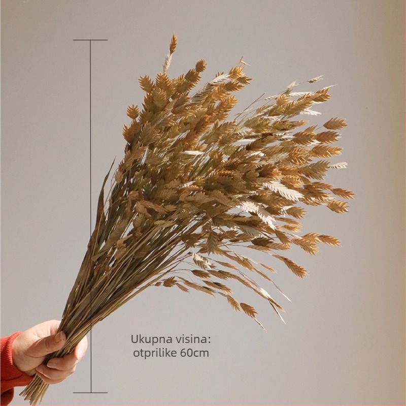 Buket suhih cvjetova, stil Wabi-Sabi, sorta Forget-me-not, neobojano, zapakirano u Opp vrećicu