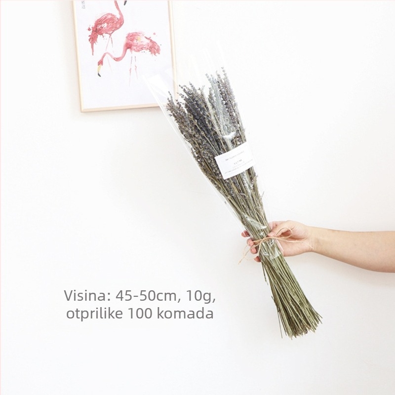 Buket suhih cvjetova, stil Wabi-Sabi, sorta Forget-me-not, neobojano, zapakirano u Opp vrećicu