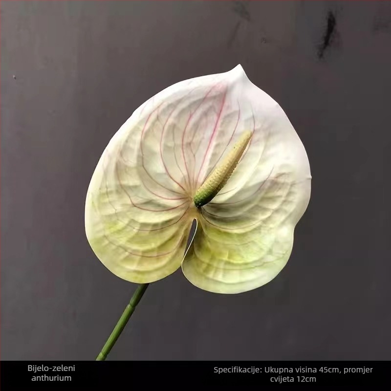 3D-Printani mekani umjetni cvijet palma rekviziti za fotografiju – vjenčanje, na otvorenom i kućna dekoracija (Materijal: PU / mekana guma; Obrada: Drugo; Upotreba: Vjenčanje, Na otvorenom, Rekviziti za fotografiju, Dekor kod kuće)
