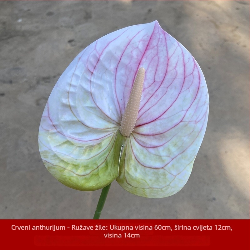 3D-Printani mekani umjetni cvijet palma rekviziti za fotografiju – vjenčanje, na otvorenom i kućna dekoracija (Materijal: PU / mekana guma; Obrada: Drugo; Upotreba: Vjenčanje, Na otvorenom, Rekviziti za fotografiju, Dekor kod kuće)