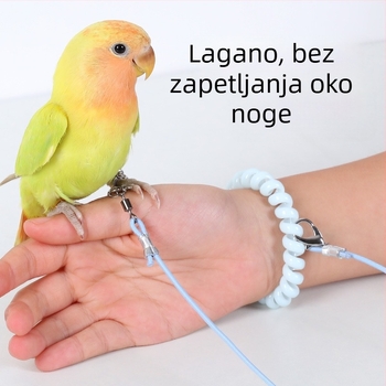 Papiga ultralako elastično trenirajući konopac za let, s prstenom za stopalo, lancem za stopalo i setom za vrat
