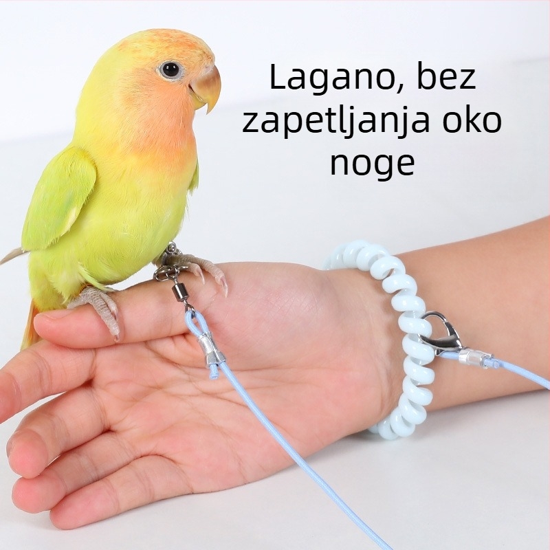 Papiga ultralako elastično trenirajući konopac za let, s prstenom za stopalo, lancem za stopalo i setom za vrat
