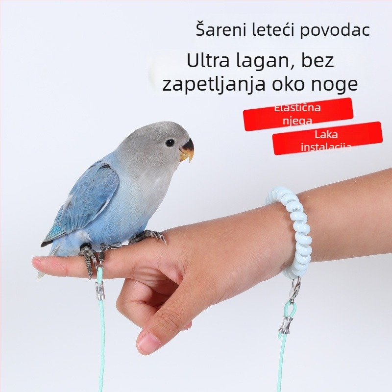 Papiga ultralako elastično trenirajući konopac za let, s prstenom za stopalo, lancem za stopalo i setom za vrat