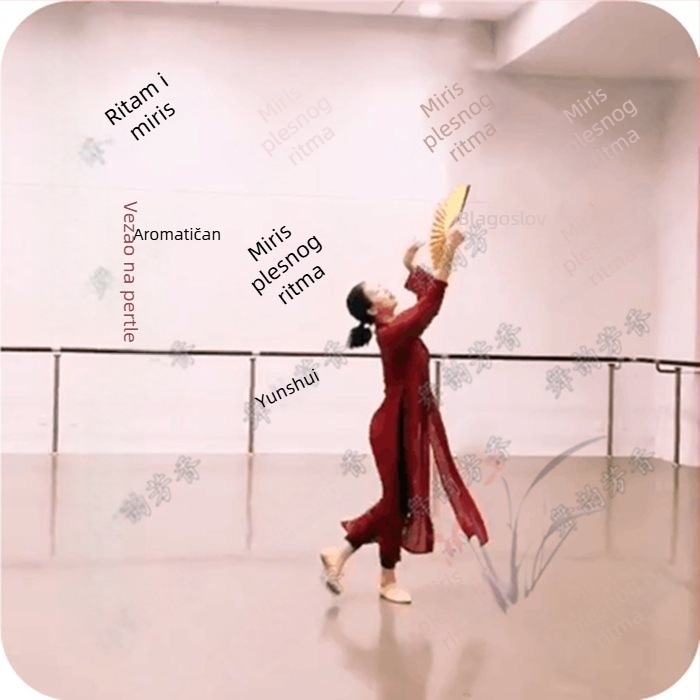 Unisex kostim za klasični ples s kapom i gazom haljinom, dugi tekući kardigan; Spandex <30%; proljeće 2025; folklorni ples; dob od 35–39