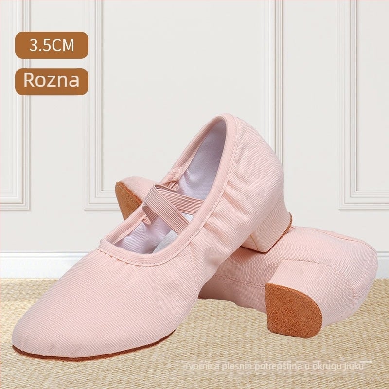 Plesne cipele za odrasle žene, platnene gornji dio i gumena potplata, protuklizne, pogodne za balet, moderni ples i latino ples
