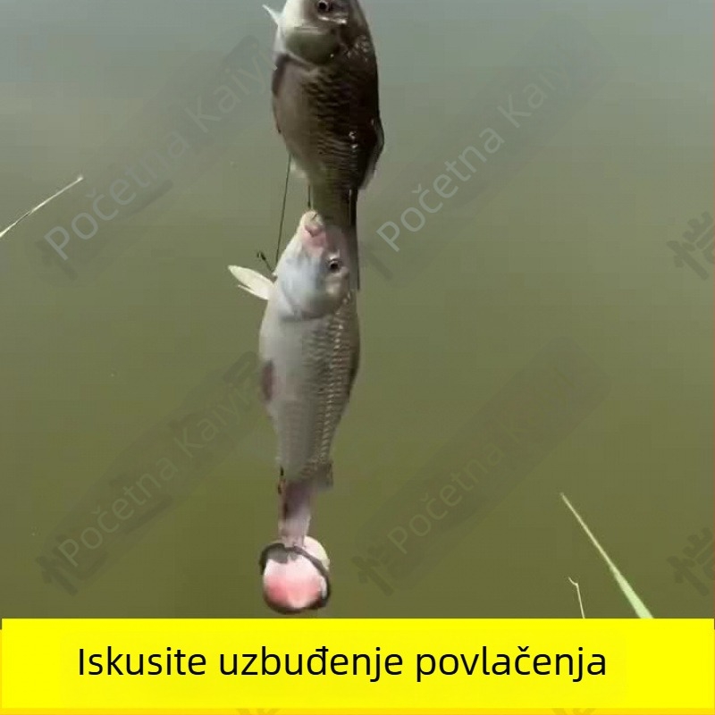 Air Force Star Početnički set za ribolov s finom mrežom i kompletom udica na najlonu (SKU Pfujvz3nAMP+RAarJgjBw8e9c3s; Izvoz preko granica: Da; Glavno tržište: Jugoistočna Azija)