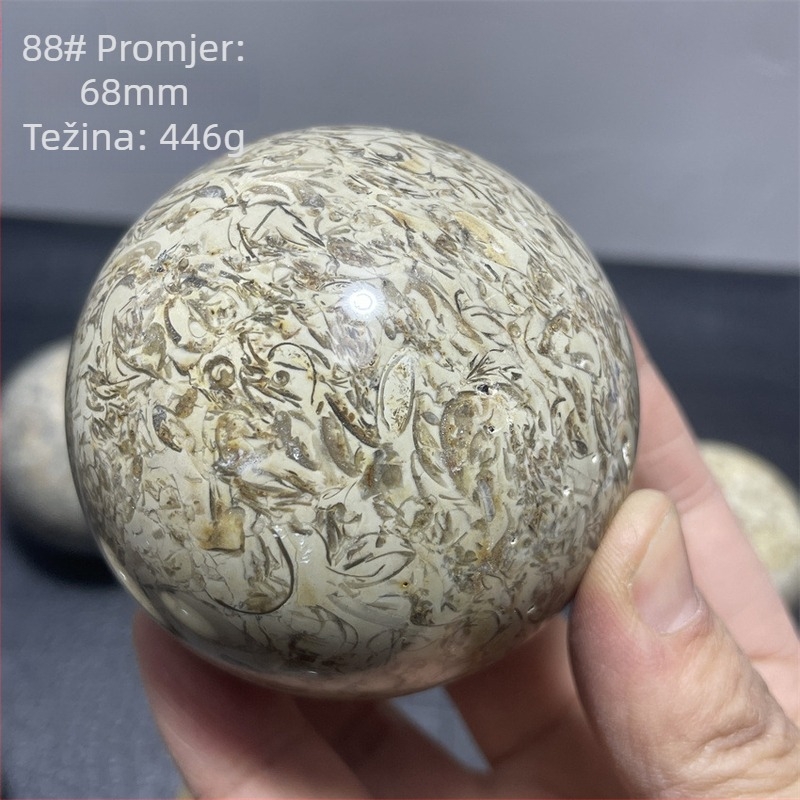 Kristalna kugla od kostiju dinosaura, moderan i jednostavan stil, oblik kugle, materijal: kristal
